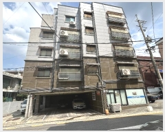  2024Ÿ124698  õ 3 13, 503ȣ (굿, 潺)    ټ,