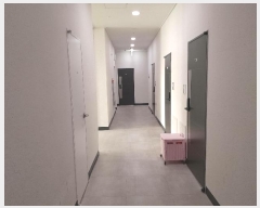  2024Ÿ151645   ȭ 262, 11 1106ȣ (ȭ, Ŭ)   ǽڰ