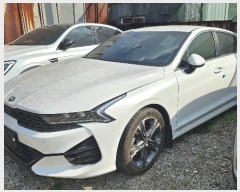  2024Ÿ��136677 ���� ������ ��ȭ����2�� 60       �������