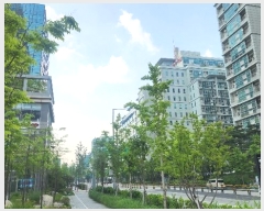  2024Ÿ120764  õ 2 95, 9 906ȣ (굿, ̿Ÿ)   Ʈ