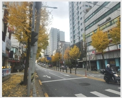  2024Ÿ142948  õ  337, 9 901ȣ (굿, Ƽ)   Ʈ