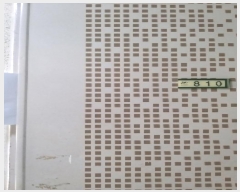  2024Ÿ149758   õ 492, 8 810ȣ (̵, ƿƮ)   ǽڰ