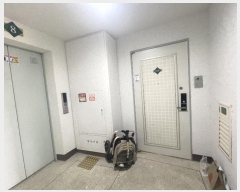  2024Ÿ127710  Ʈ