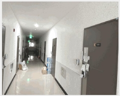  2024Ÿ6288  α η 224, 11 1110ȣ (, ĭŸ5)   ǽڰ