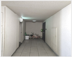  2024Ÿ1825  Ʈ