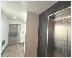  2024Ÿ148229   ȭ68 136-38, 4 402ȣ (̵,ũ)    ټ,