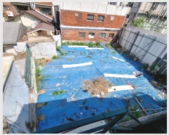  2024Ÿ��114615  �������