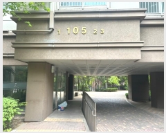  2024Ÿ115137  Ʈ