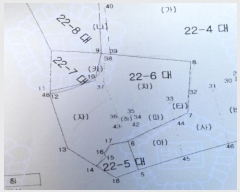  2024Ÿ138956   3 22-6       ()