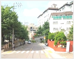  2024Ÿ116031  α 13 26,  5 501ȣ (, ǿƮ)  ټ,