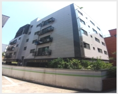  2024Ÿ116031  α 13 26,  5 501ȣ (, ǿƮ)  ټ,