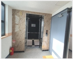  2024Ÿ148731  õ  337, 8 801ȣ (굿, Ƽ)   Ʈ