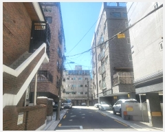  2024Ÿ��4169  �ټ���(����)���