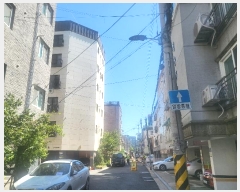  2024Ÿ��4169  �ټ���(����)���