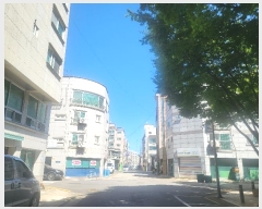  2024Ÿ��4169  �ټ���(����)���