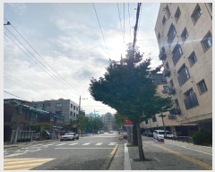  2024Ÿ137274   ű浿 124-11 űٸ 104 2 203ȣ   ,繫ǰ