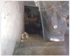  2024Ÿ137670  õ ſ24 20-1, 2 203ȣ     ټ,