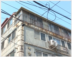  2024Ÿ��109651  �ټ���(����)���