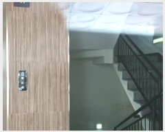  2024Ÿ131283   ʷϸ34 55, 105 6 601ȣ (ȭ, 153)  ټ,