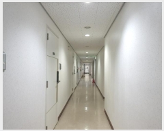  2024Ÿ��135599 ���� ���α� �������26�� 5, ��19�� ��1913ȣ (���ε�, ��������2��)   ����Ʈ���