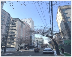  2024Ÿ��142962 ���� ������ ���޷��� 60-1, ��12�� ��1202ȣ (ȭ�, ���������̾���Ʈ)   ����Ʈ���