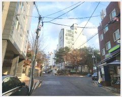  2024Ÿ150475   ʷϸ 134, 5 502ȣ (ȭ, ͽƼ)   ټ,