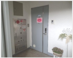  2024Ÿ104895  Ʈ