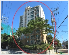  2024Ÿ114472   ʾȻ2 91, 101 1103ȣ (赿,쳲Ǫ̾ƾƮ)    Ʈ