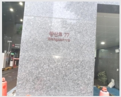  2024Ÿ3725  빮 ջ 77, 8804ȣ (ε,빮׽Ʈ2)     ǽڰ