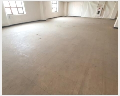  2024Ÿ5370  ߶ Ϸ143 19, 335ȣ      ,繫ǰ