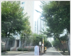  2024Ÿ114168  ϱ  119, 214 151501ȣ (,Ÿ)    Ʈ