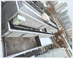  2024Ÿ120187  ߶ ߶õ29 47, 4401ȣ      ټ,