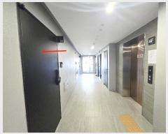  2024Ÿ121784  ߶  284, 4404ȣ (,ġ̿ڽƼ)     ټ,