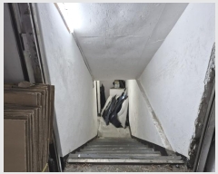  2024Ÿ��123087 ���� ���빮�� ��ȵ� 358-6       �ܵ�����,�����ð��