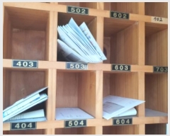  2024Ÿ123797  빮 ̹ 89, 6603ȣ (̹,)     Ʈ