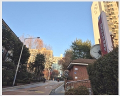  2024Ÿ122602   58 176, 102 7705ȣ (ϰ赿,Ʈ)    Ʈ