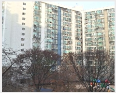  2024Ÿ122619   Ϸ228 23, 1402 111108ȣ (赿,ְƮ)    Ʈ