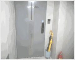  2024Ÿ��3831 ���� �߶��� �����20�� 26, 6��601ȣ      �ټ���,������