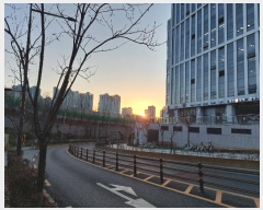  2024Ÿ��6014 ���� �߶��� �ų����� 111, 1��124ȣ (�ų���,�ų��������̺���1����)     ��,�繫�ǰ��