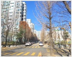  2024Ÿ121555   Ϸ208 19, 202 9902ȣ (߰赿,߰蹫Ʈ)    Ʈ