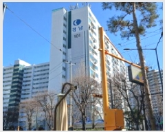  2024Ÿ122947  빮 õȣ47 62, 141415ȣ (ʸ,Ŵ泲Ʈ)     Ʈ