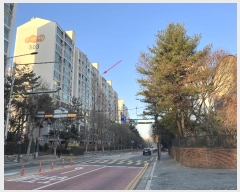  2024Ÿ123841  ߶ ų21 16, 503 111103ȣ (,ų븲Ʈ)    Ʈ