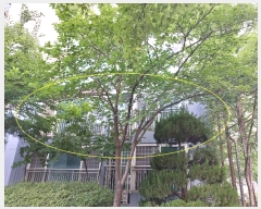  2024Ÿ��3671 ���� ���빮�� ��ʸ���59�� 7, 103�� 3��306ȣ (��ʸ���,����û�������Ʈ)    ����Ʈ���