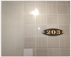  2024Ÿ113622  ټ()