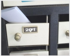  2024Ÿ��121876  �ټ���(����)���