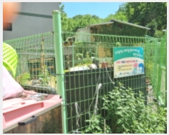  2024Ÿ3107   ߰赿 41-7       ()