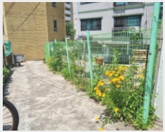  2024Ÿ3107   ߰赿 41-7       ()