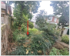  2024Ÿ118283  ϱ  338-176       ()