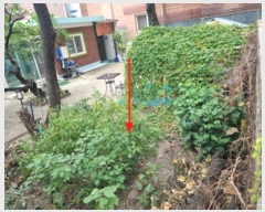  2024Ÿ118283  ϱ  338-176       ()