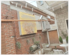  2024Ÿ118689   ֹ 123-2       ð